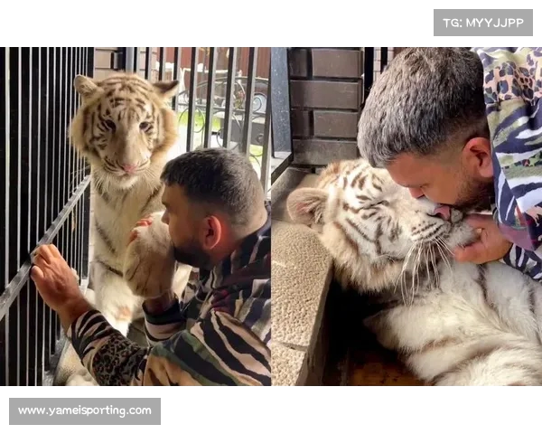 从“垂死病中惊坐起”看真实的战斗民族形象:网友热议背后的故事 从“垂死病中惊坐起”看真实的战斗民族形象:网友热议背后的故事